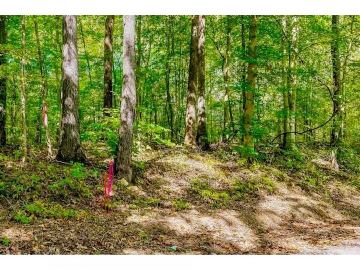 Picture of Residential Land For Sale in Alpine, Tennessee, United States