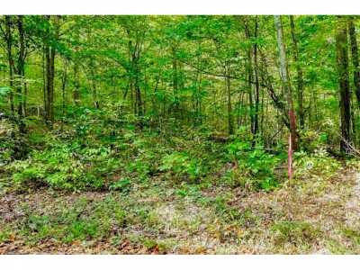 Residential Land For Sale in Alpine, Tennessee