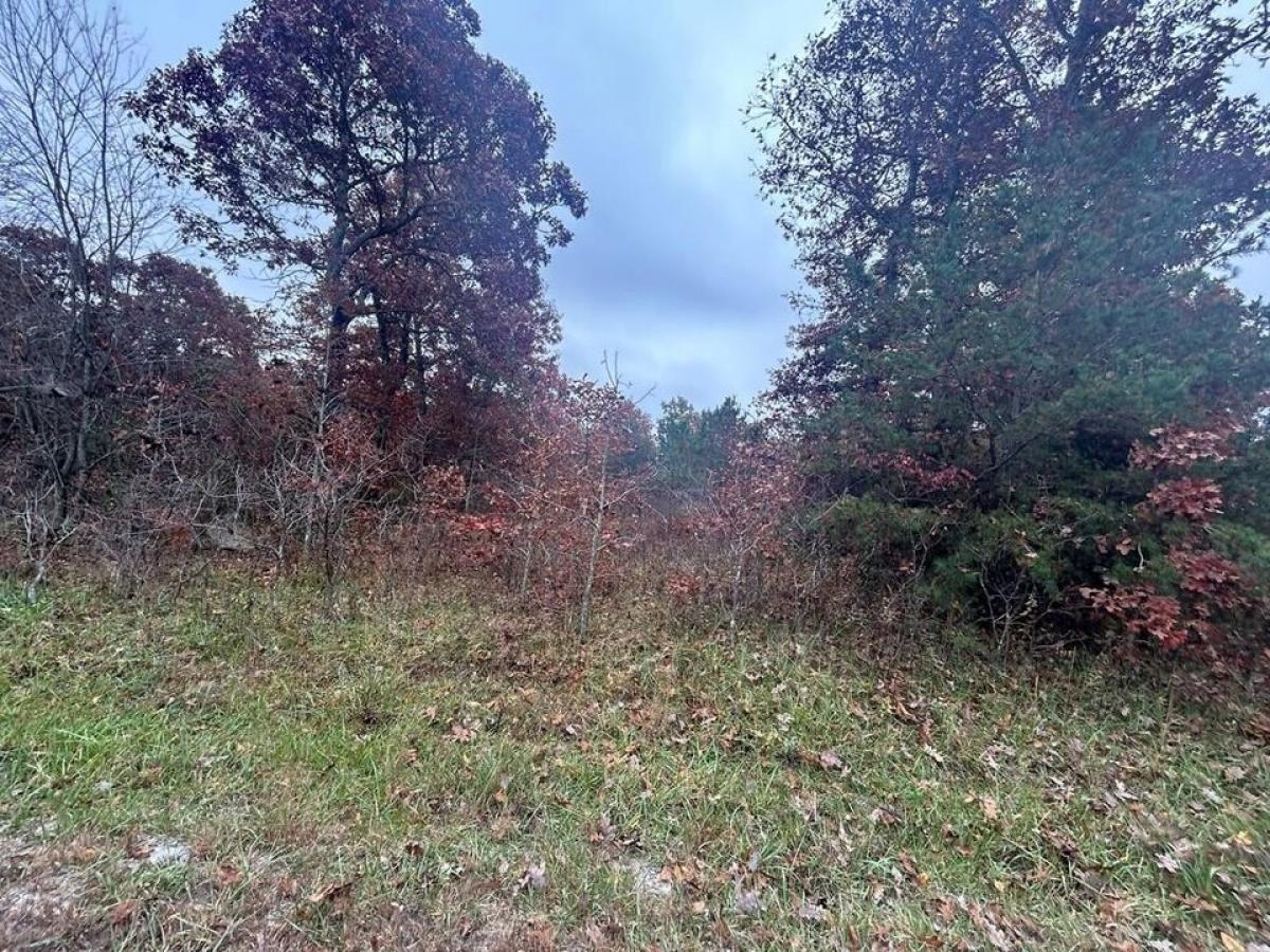 Picture of Residential Land For Sale in Deer Lodge, Tennessee, United States