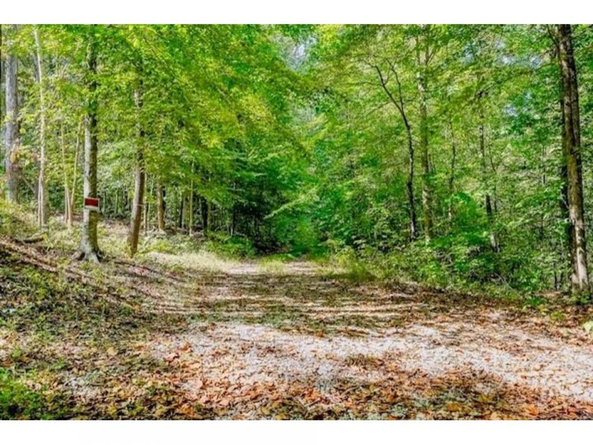 Picture of Residential Land For Sale in Alpine, Tennessee, United States