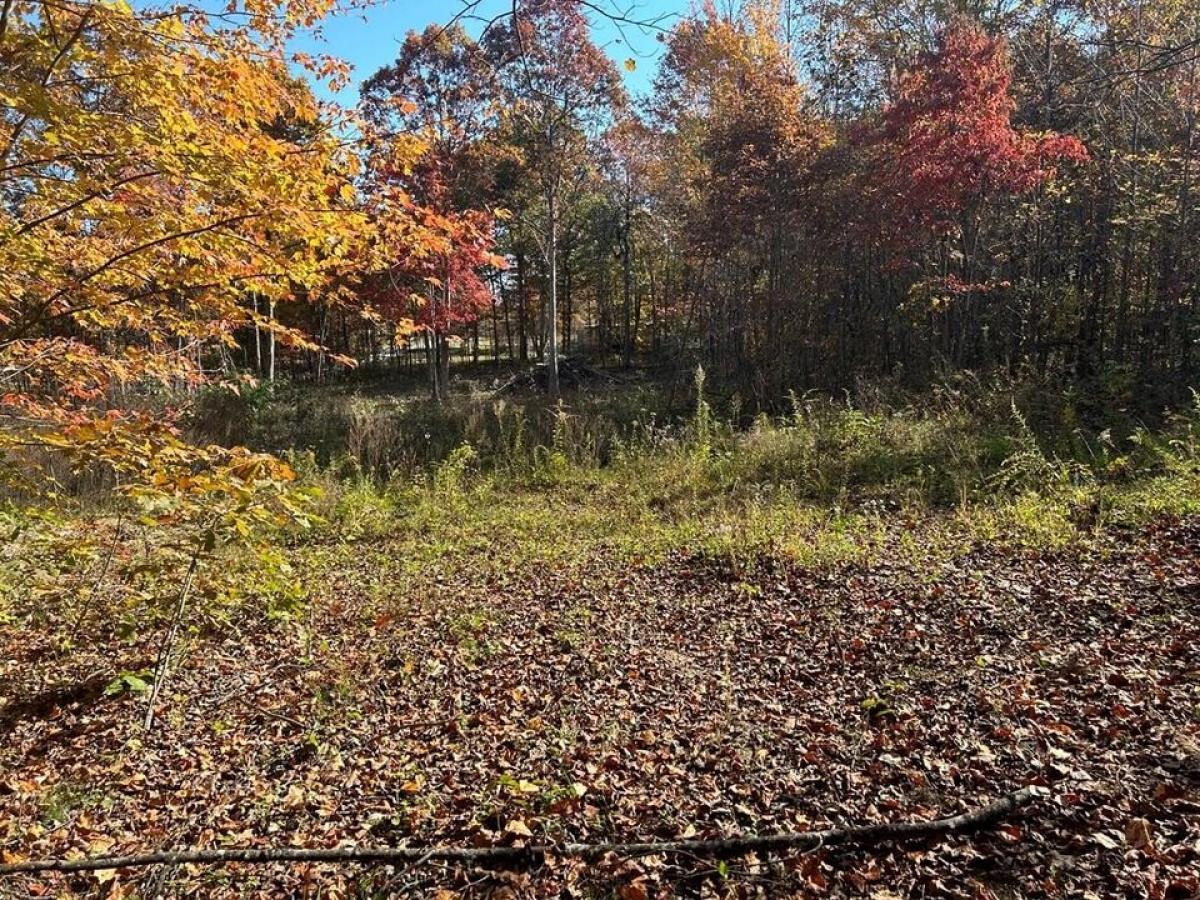 Picture of Residential Land For Sale in Jamestown, Tennessee, United States