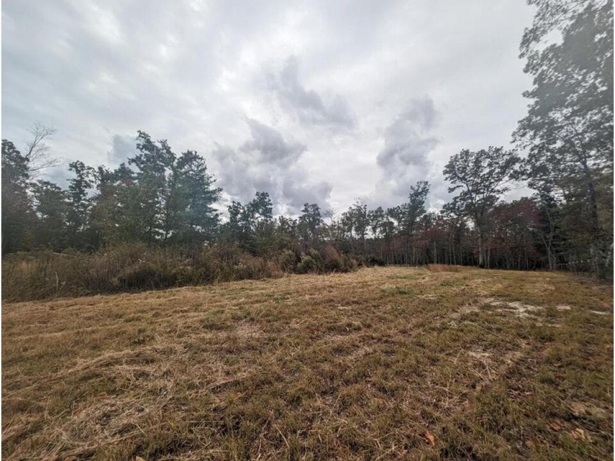 Picture of Residential Land For Sale in Deer Lodge, Tennessee, United States