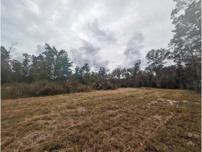 Residential Land For Sale in Deer Lodge, Tennessee