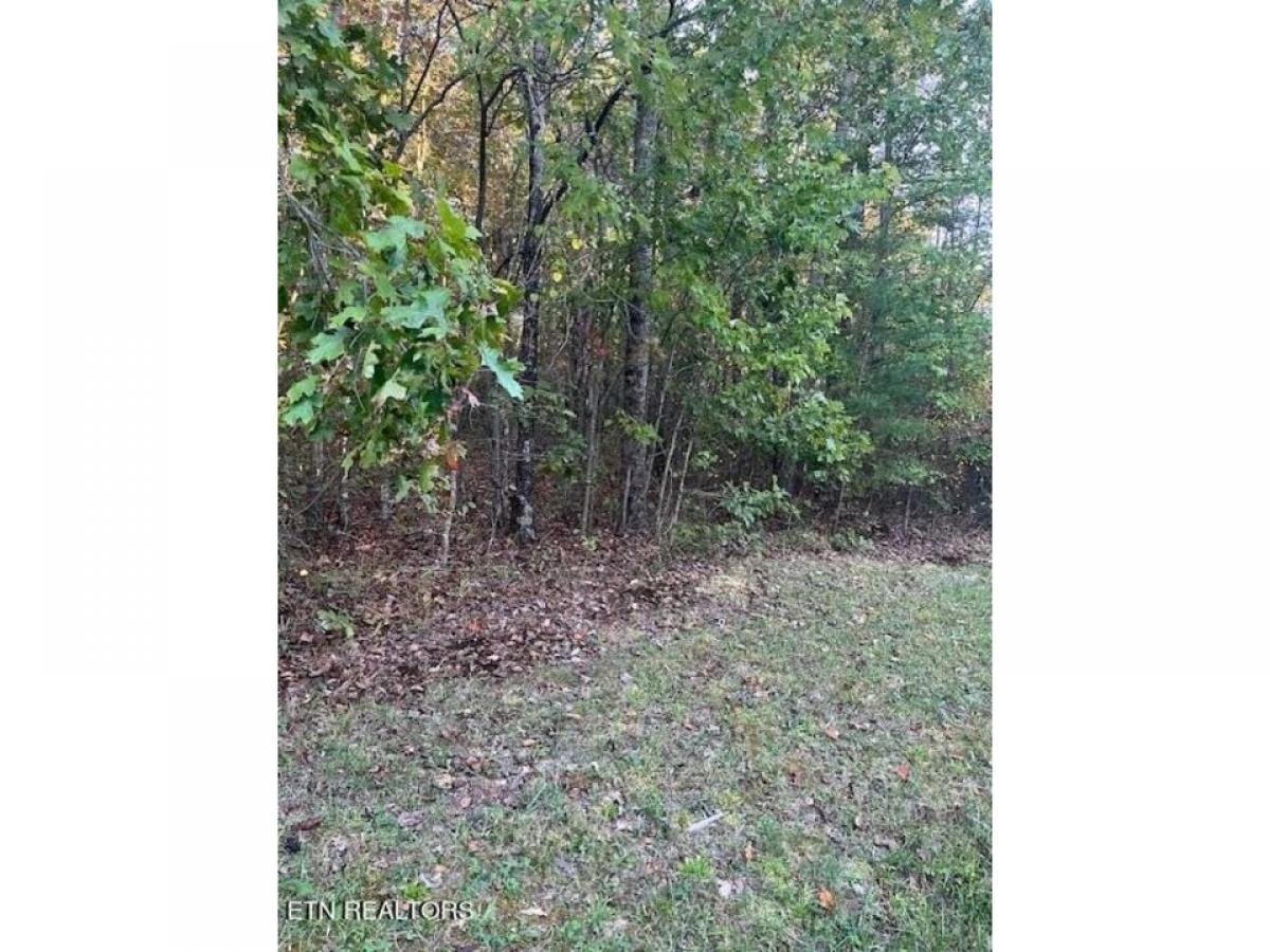 Picture of Residential Land For Sale in Monterey, Tennessee, United States