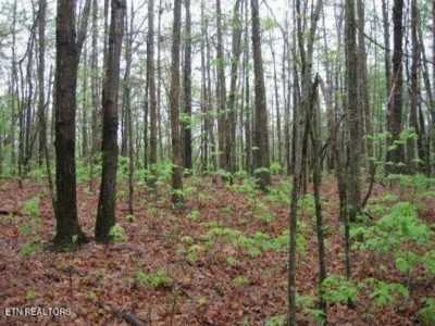 Residential Land For Sale in Monterey, Tennessee