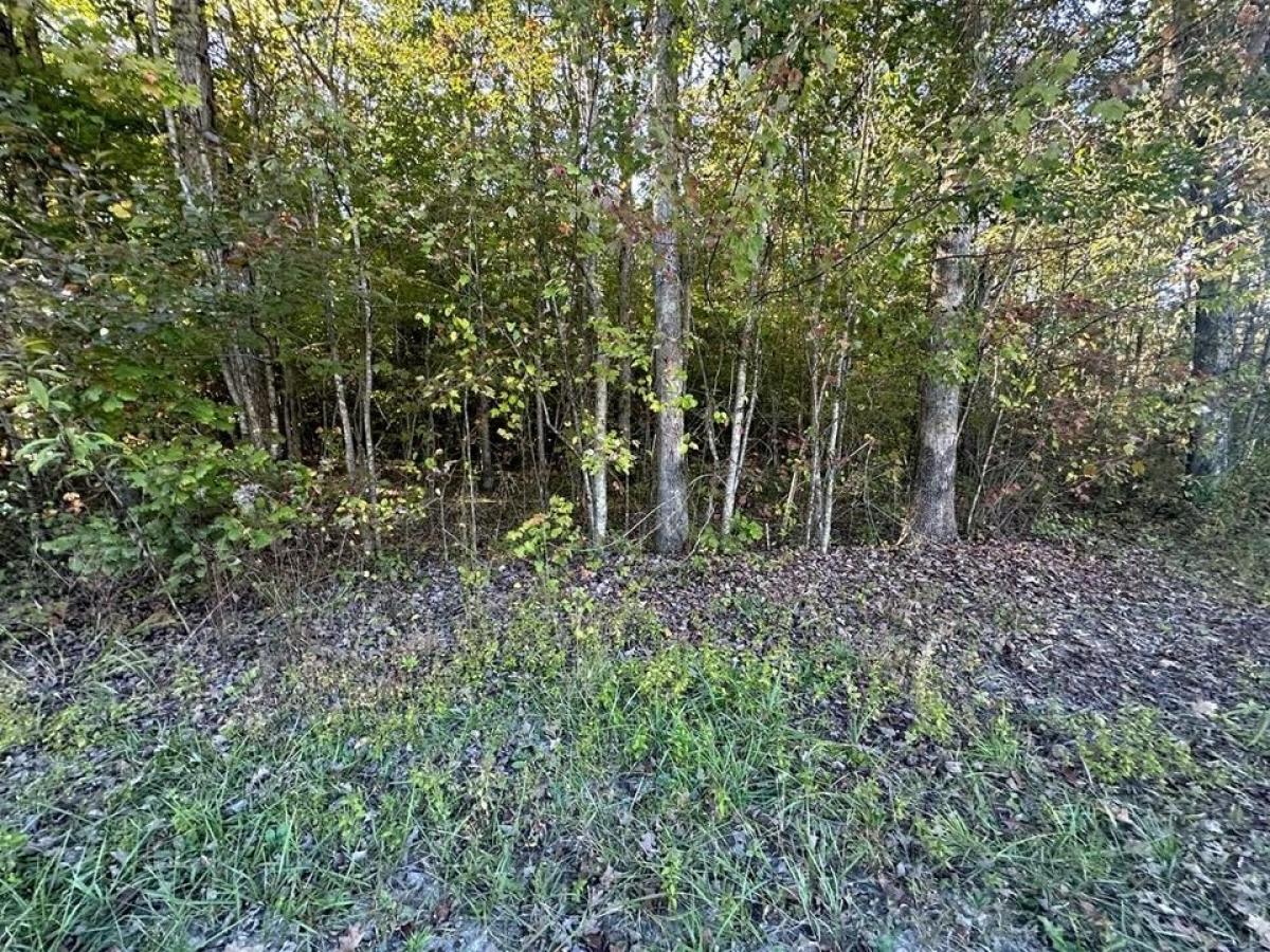 Picture of Residential Land For Sale in Jamestown, Tennessee, United States