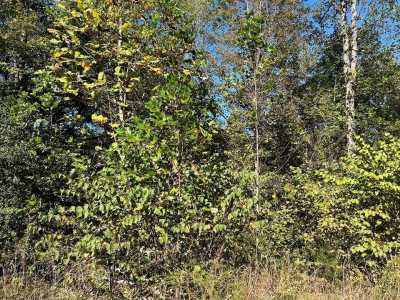 Residential Land For Sale in Wilder, Tennessee