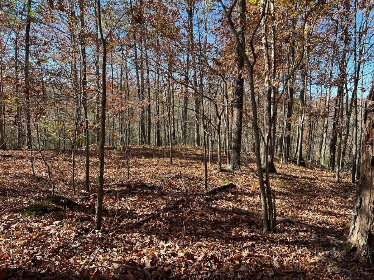 Picture of Residential Land For Sale in Celina, Tennessee, United States