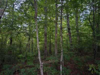 Residential Land For Sale in Wilder, Tennessee