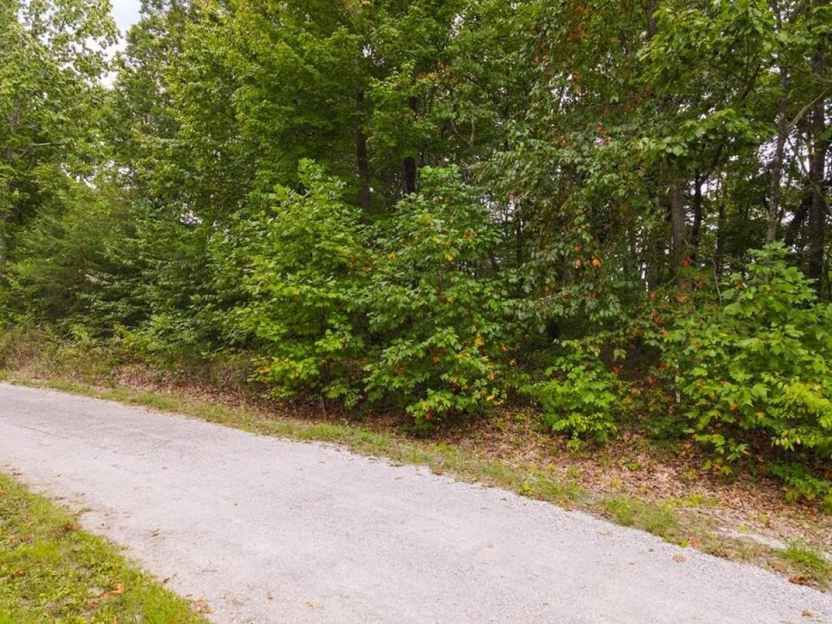 Picture of Residential Land For Sale in Spencer, Tennessee, United States