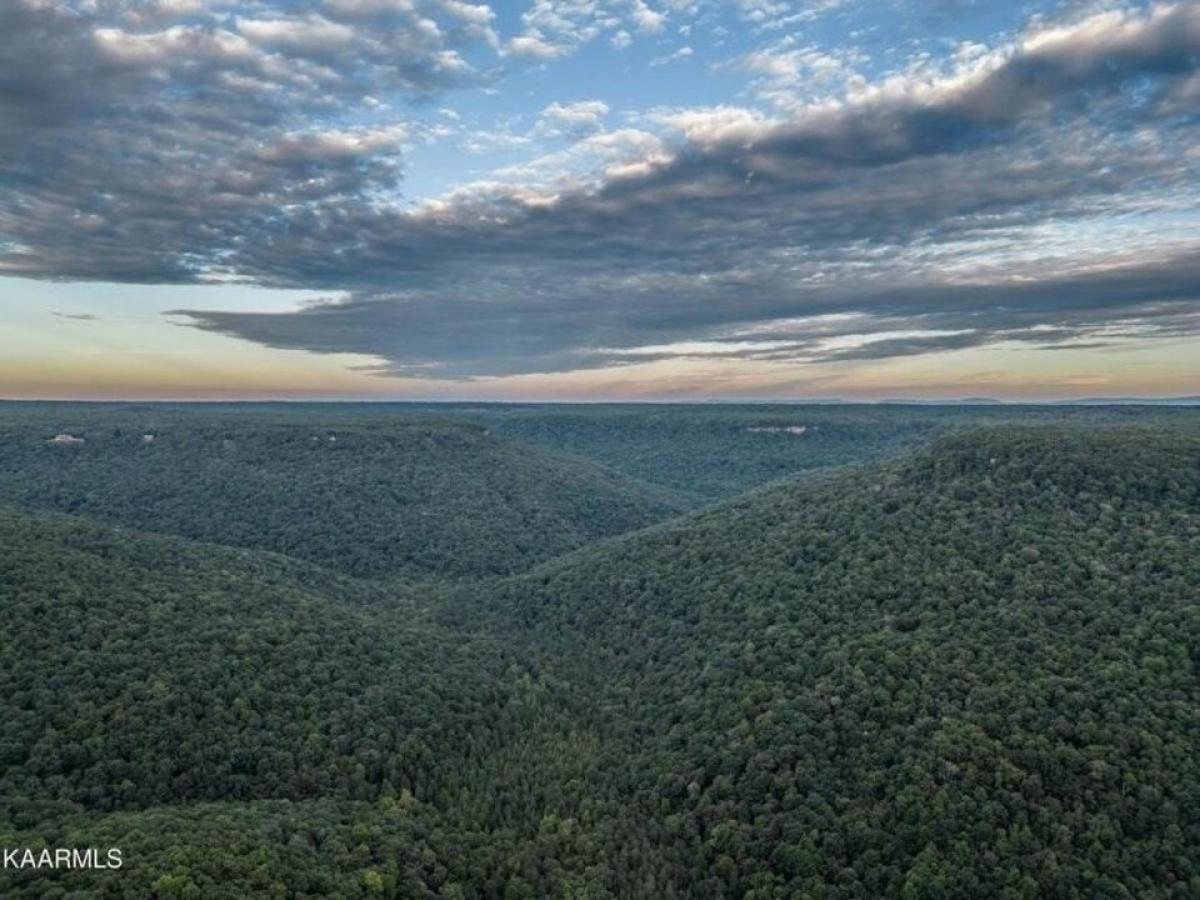 Picture of Residential Land For Sale in Monterey, Tennessee, United States