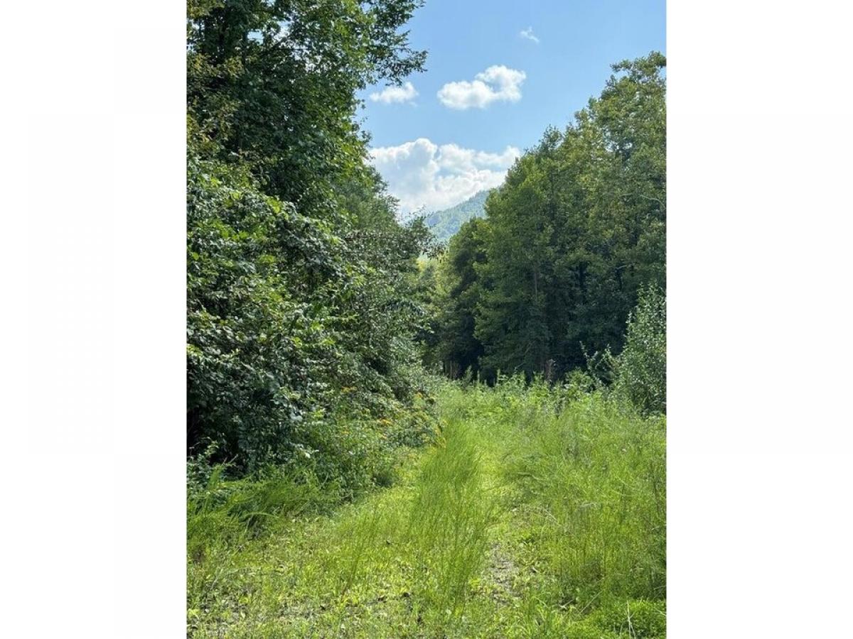 Picture of Residential Land For Sale in Hampton, Tennessee, United States