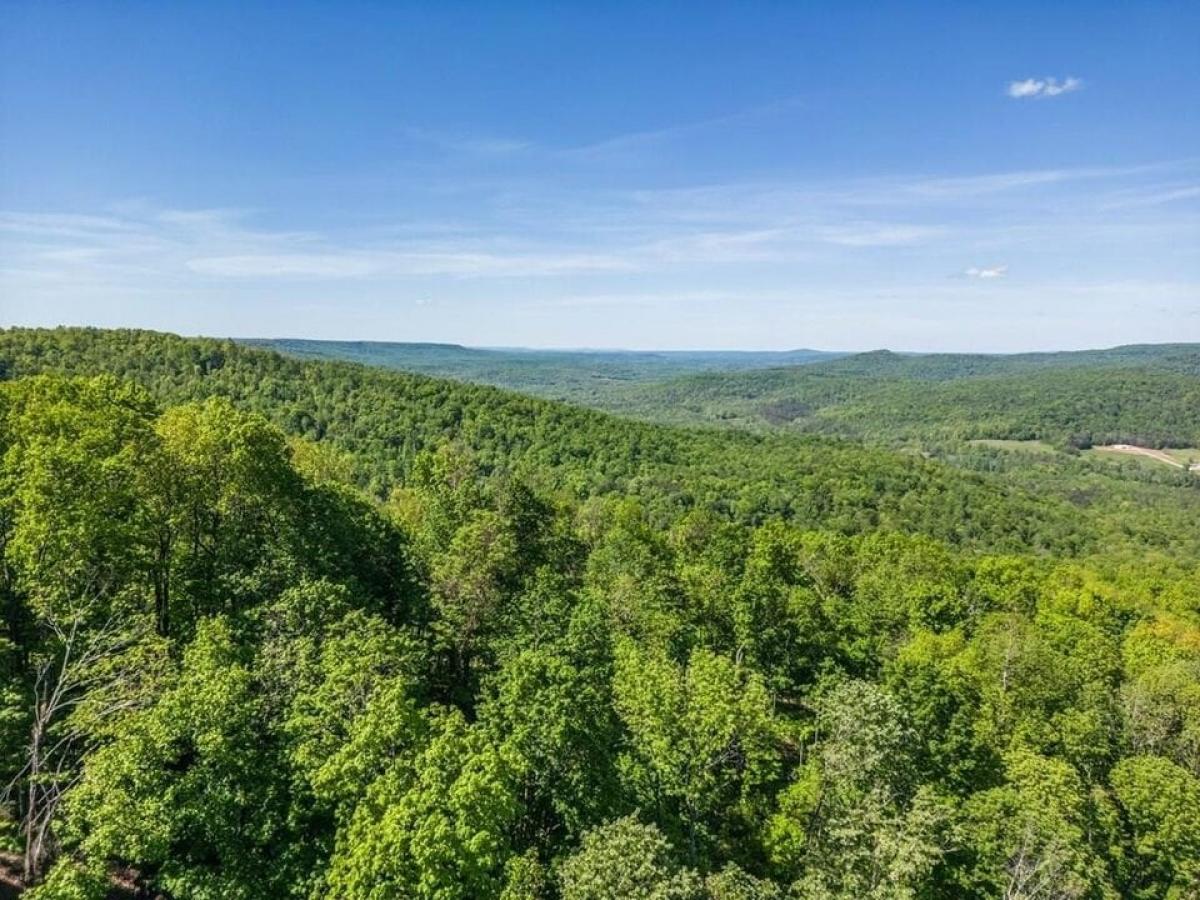 Picture of Residential Land For Sale in Monterey, Tennessee, United States