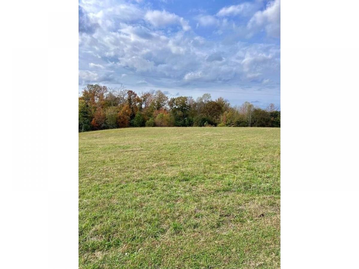 Picture of Residential Land For Sale in Smithville, Tennessee, United States