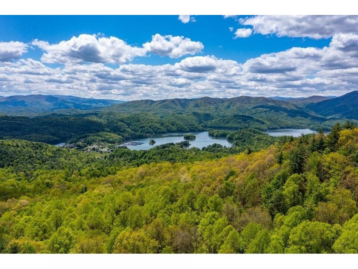 Picture of Residential Land For Sale in Butler, Tennessee, United States