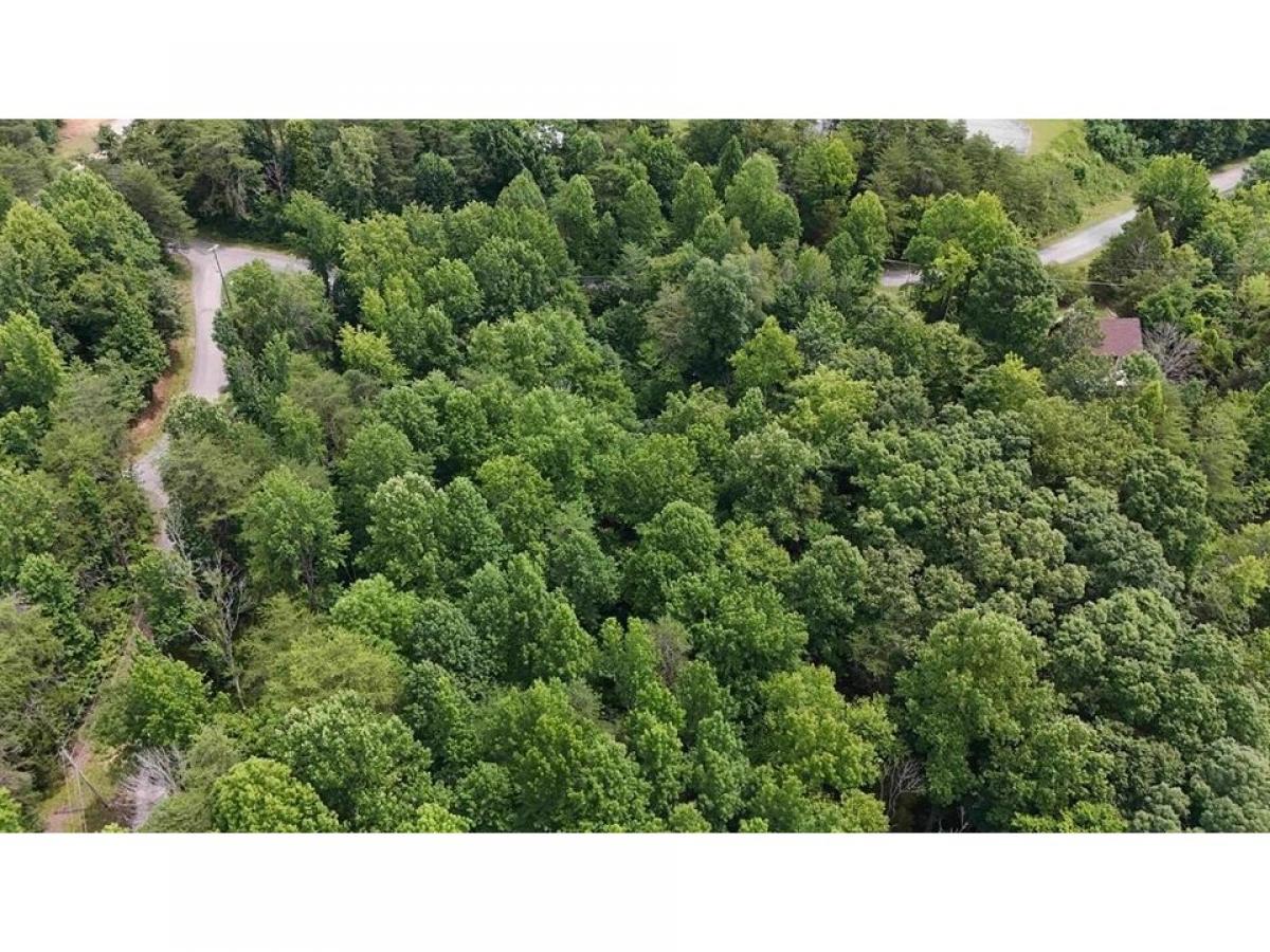 Picture of Residential Land For Sale in Albany, Kentucky, United States