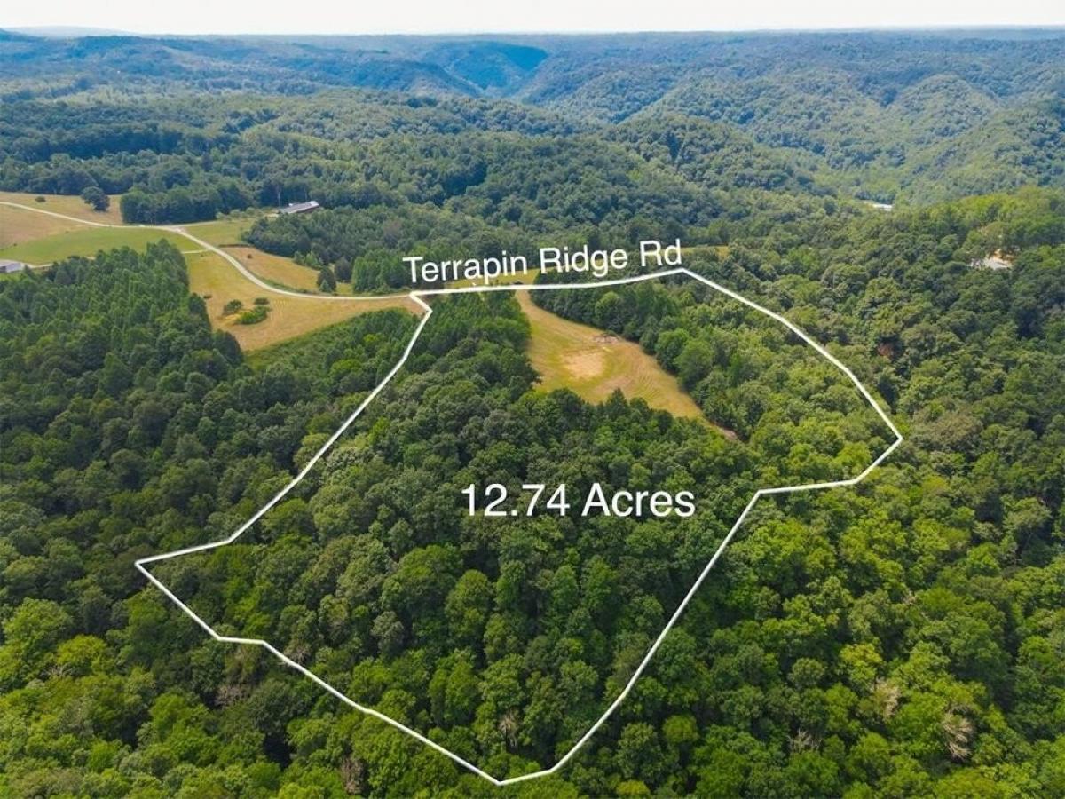 Picture of Residential Land For Sale in Hilham, Tennessee, United States