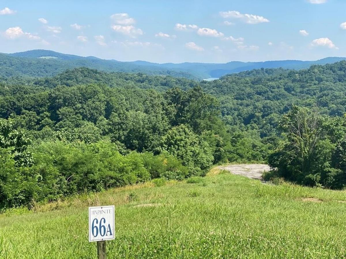 Picture of Residential Land For Sale in Celina, Tennessee, United States