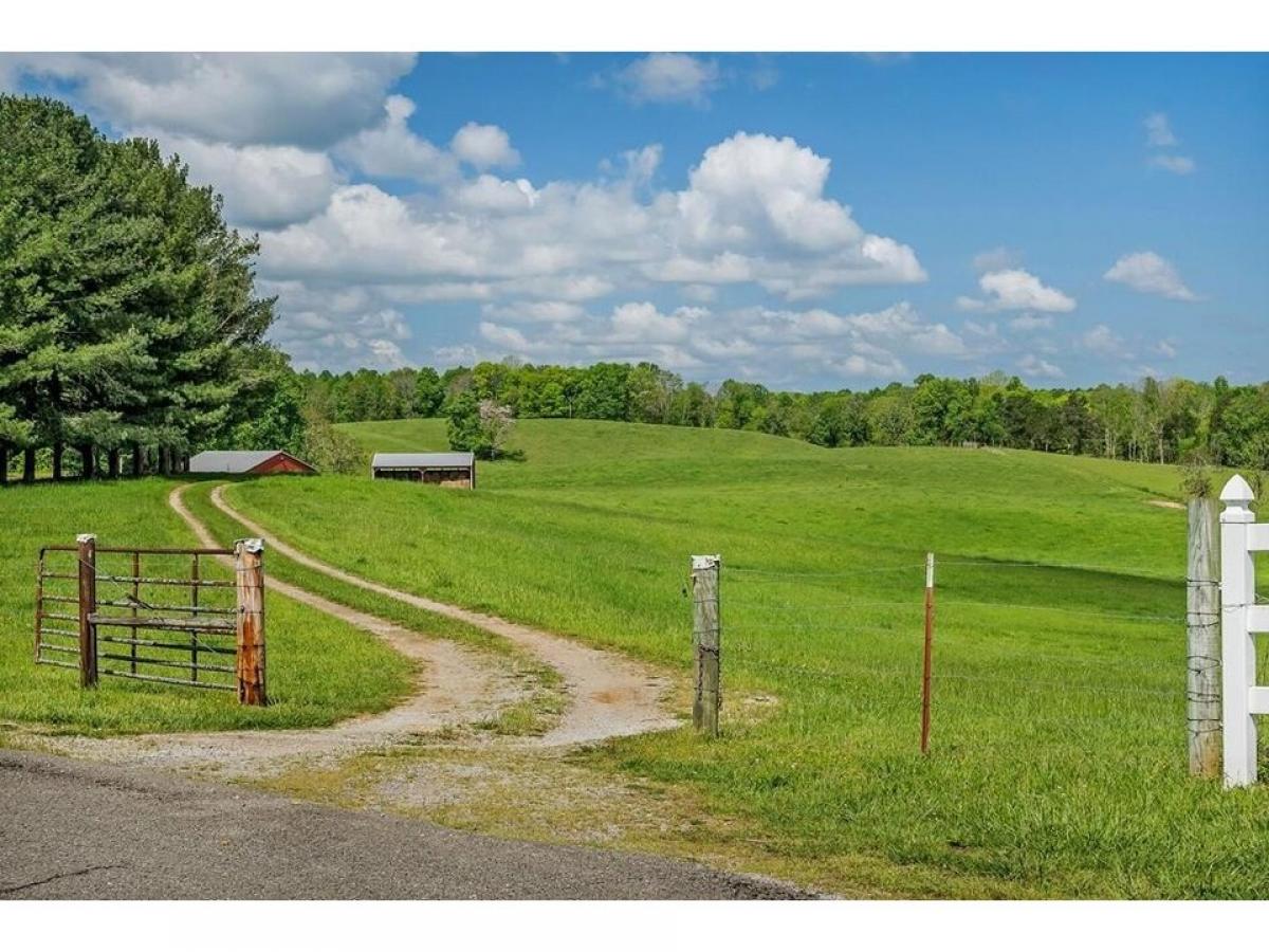 Picture of Residential Land For Sale in Walling, Tennessee, United States