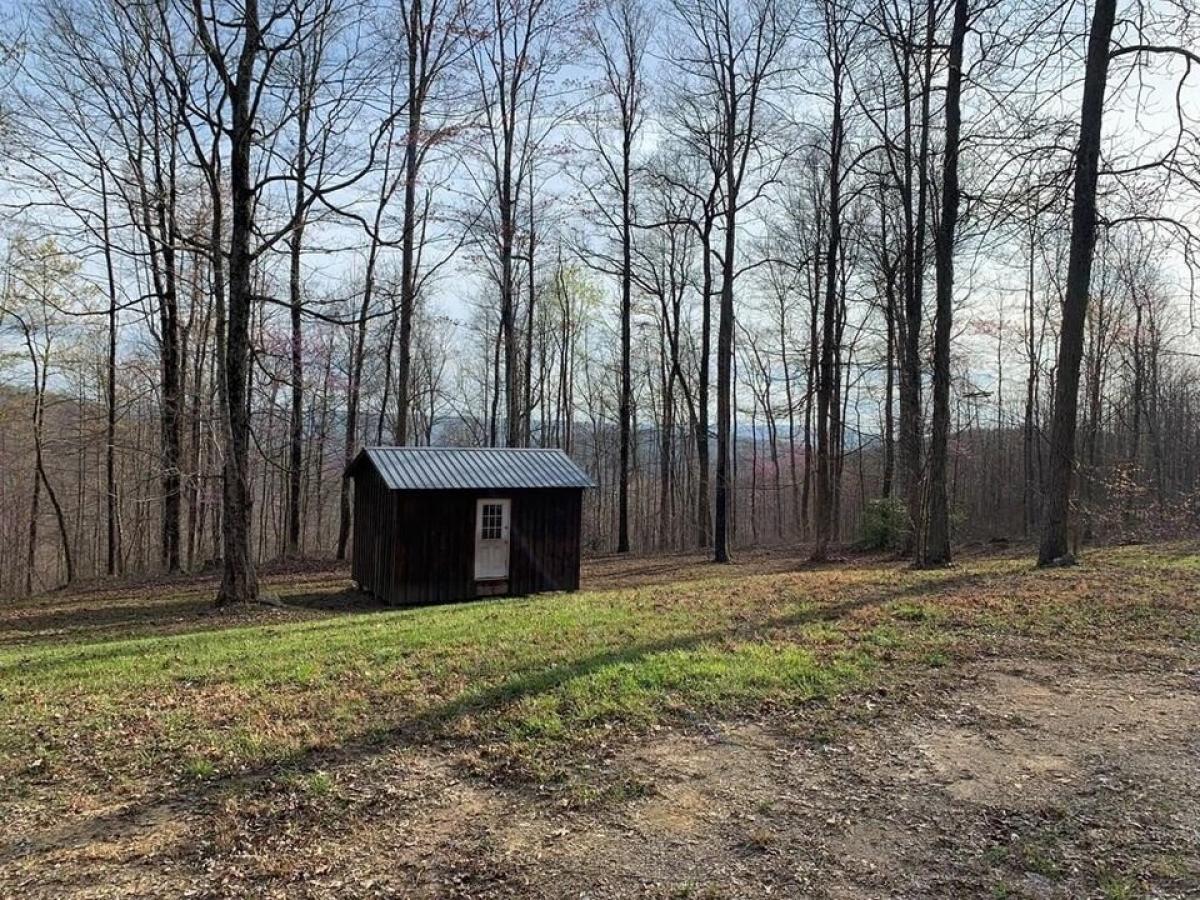 Picture of Residential Land For Sale in Pall Mall, Tennessee, United States