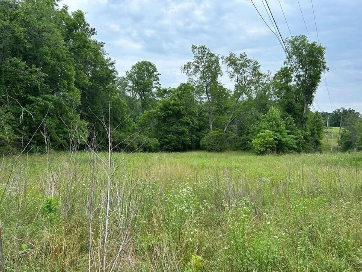 Picture of Residential Land For Sale in Jamestown, Tennessee, United States