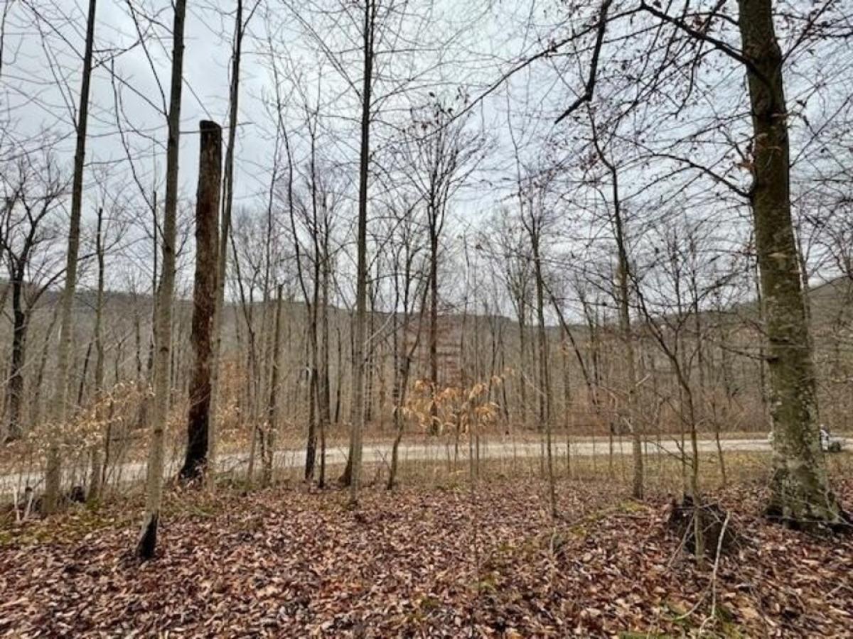 Picture of Residential Land For Sale in Jamestown, Tennessee, United States