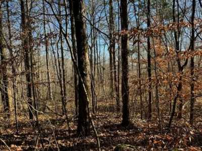 Residential Land For Sale in Celina, Tennessee