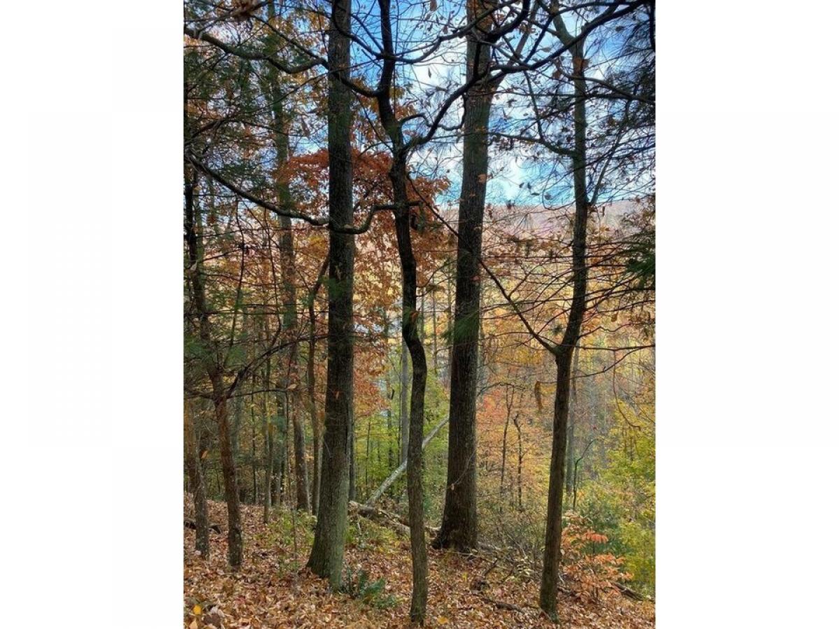 Picture of Residential Land For Sale in Butler, Tennessee, United States