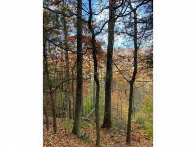 Residential Land For Sale in Butler, Tennessee