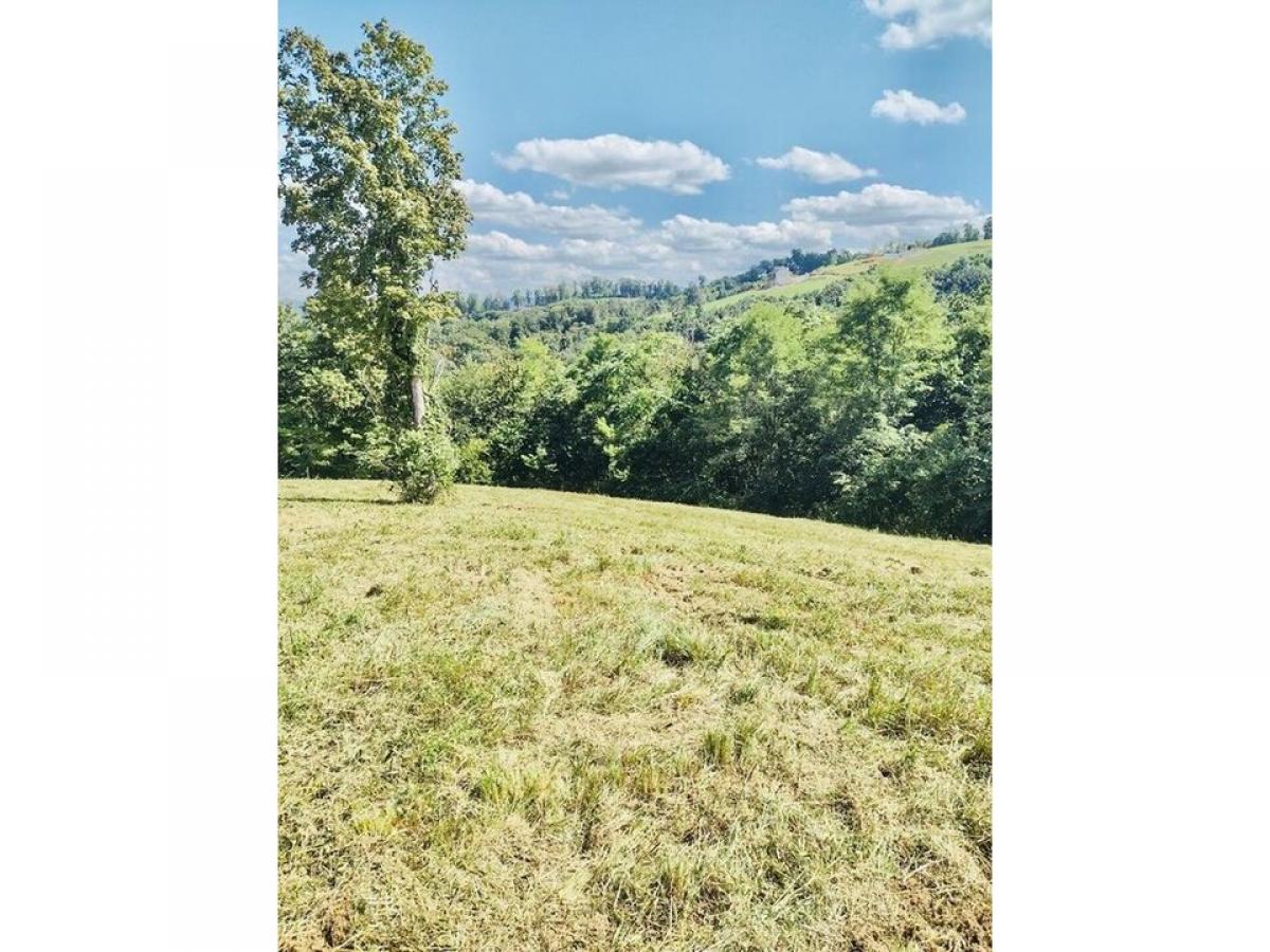 Picture of Residential Land For Sale in Celina, Tennessee, United States