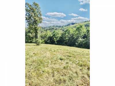 Residential Land For Sale in Celina, Tennessee