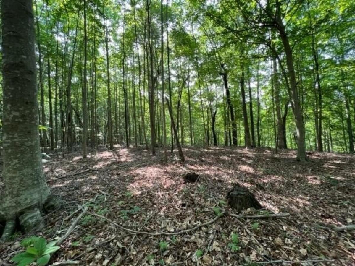 Picture of Residential Land For Sale in Allons, Tennessee, United States