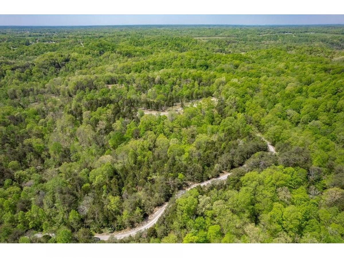 Picture of Residential Land For Sale in Gainesboro, Tennessee, United States