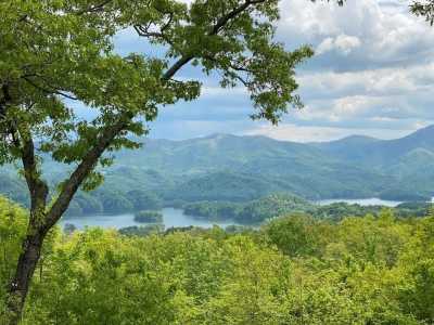 Residential Land For Sale in Butler, Tennessee