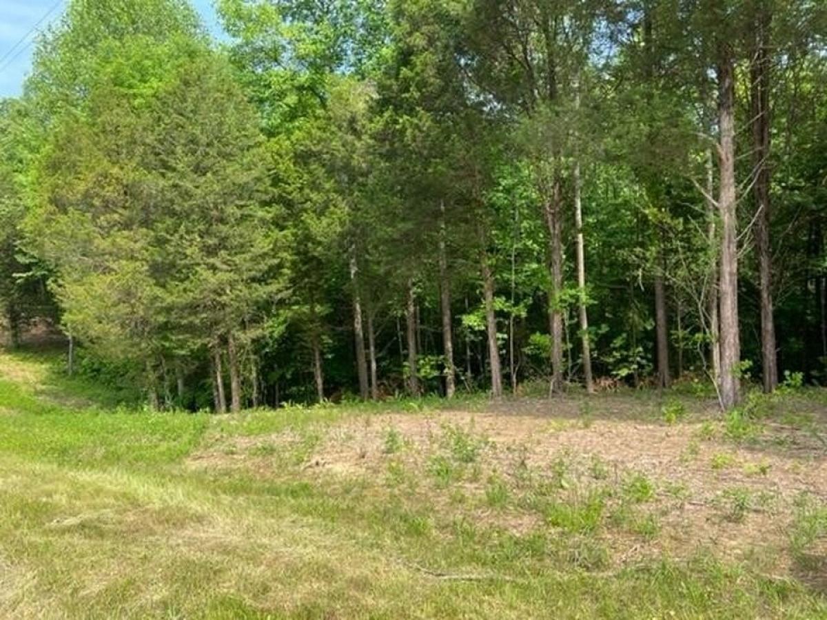 Picture of Residential Land For Sale in Allons, Tennessee, United States