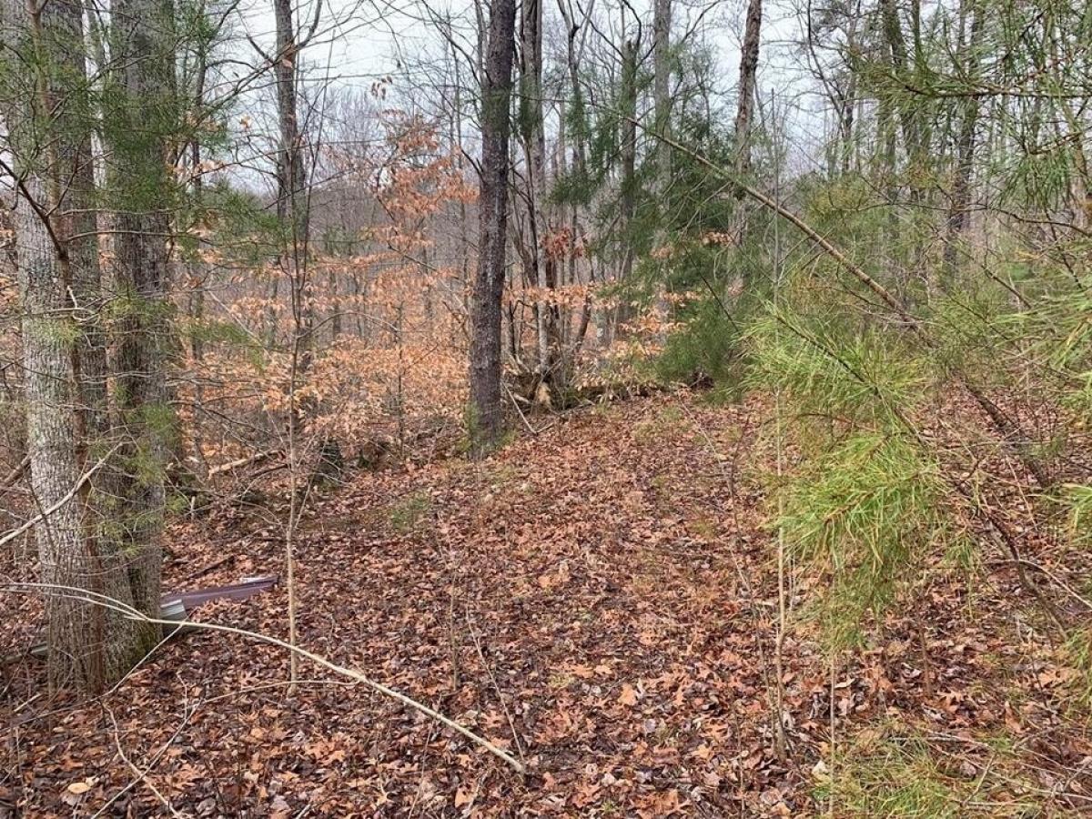 Picture of Residential Land For Sale in Spencer, Tennessee, United States