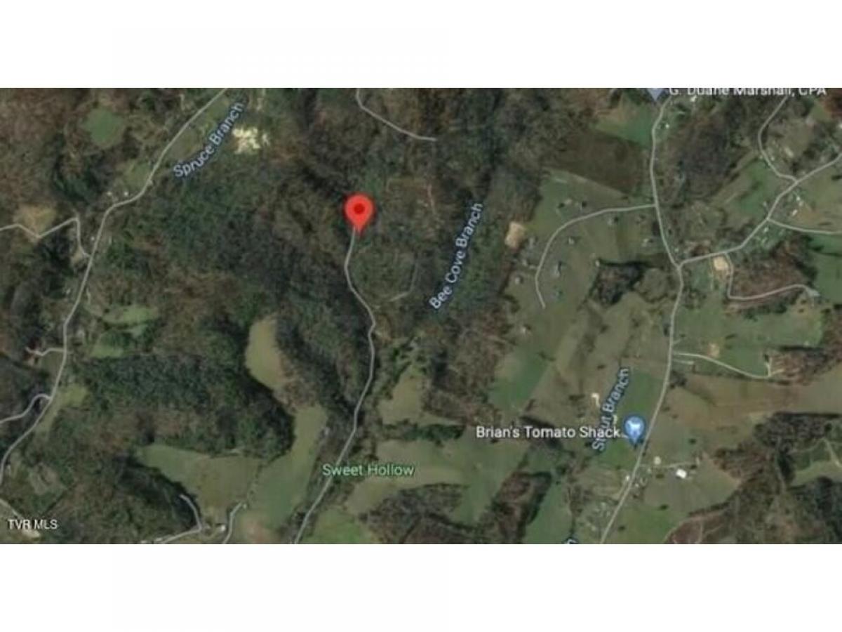 Picture of Residential Land For Sale in Mountain City, Tennessee, United States