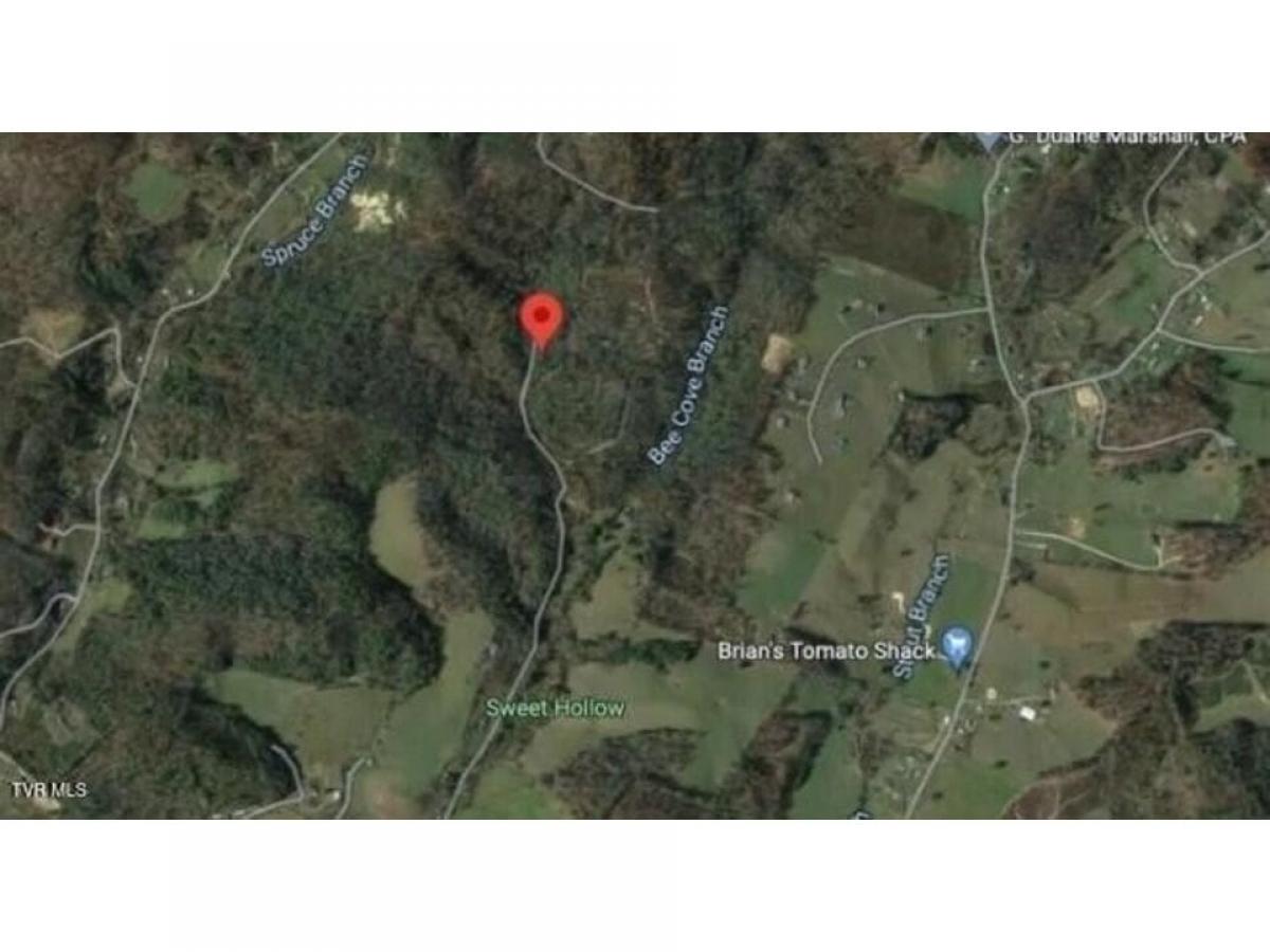 Picture of Residential Land For Sale in Mountain City, Tennessee, United States