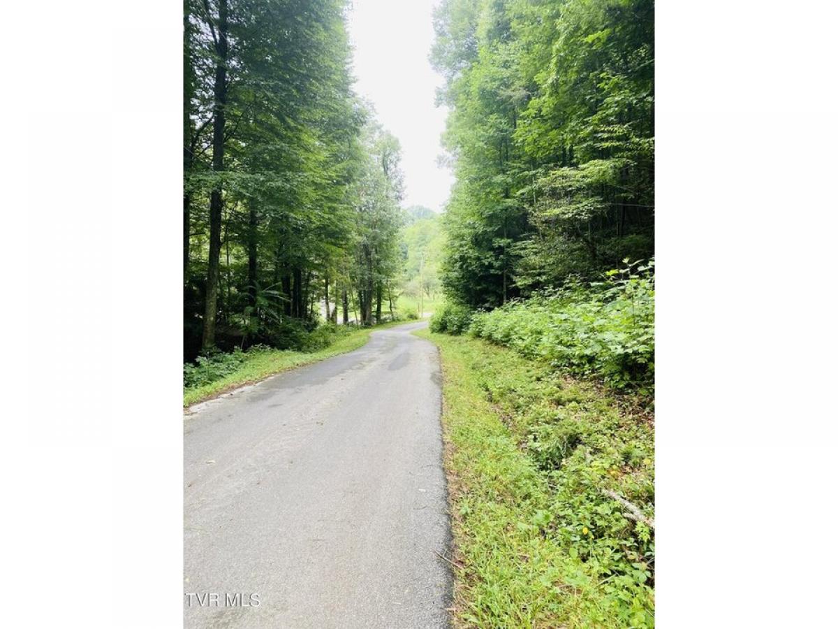 Picture of Residential Land For Sale in Elizabethton, Tennessee, United States