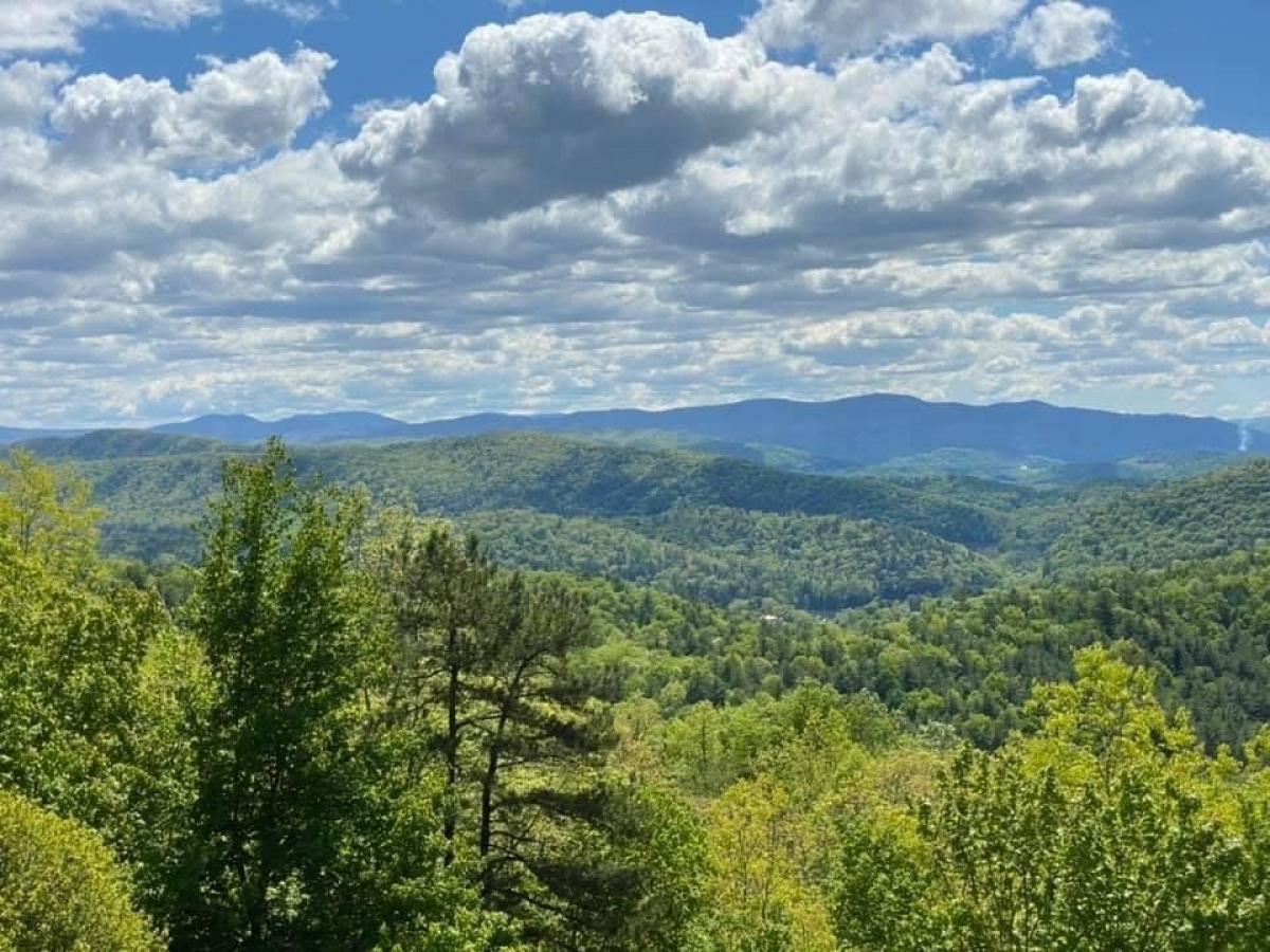 Picture of Residential Land For Sale in Butler, Tennessee, United States