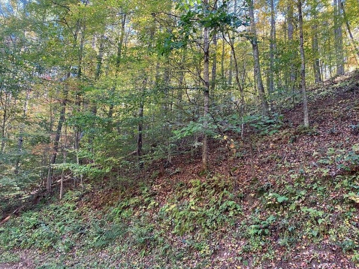 Picture of Residential Land For Sale in Butler, Tennessee, United States