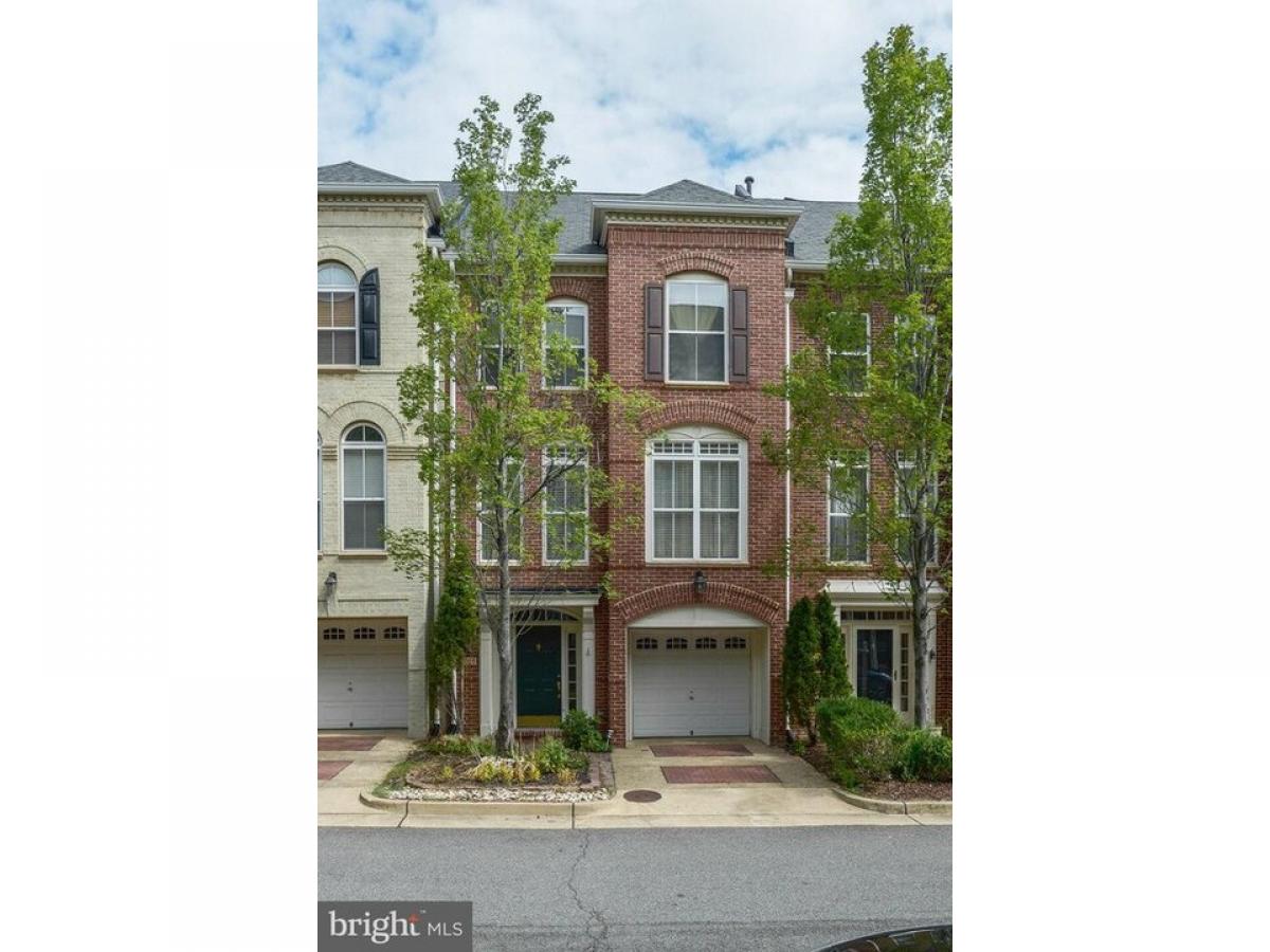 Picture of Home For Rent in Alexandria, Virginia, United States