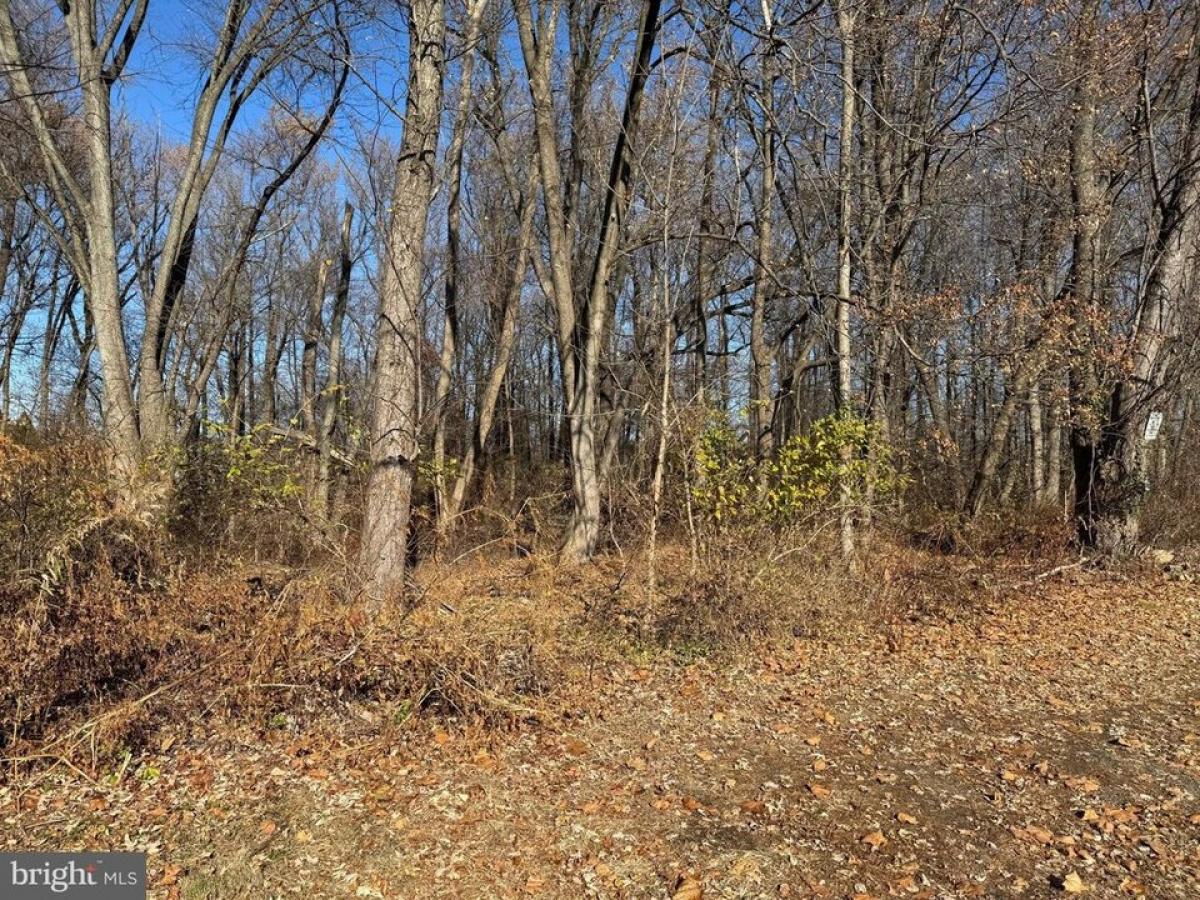 Picture of Residential Land For Sale in Langhorne, Pennsylvania, United States