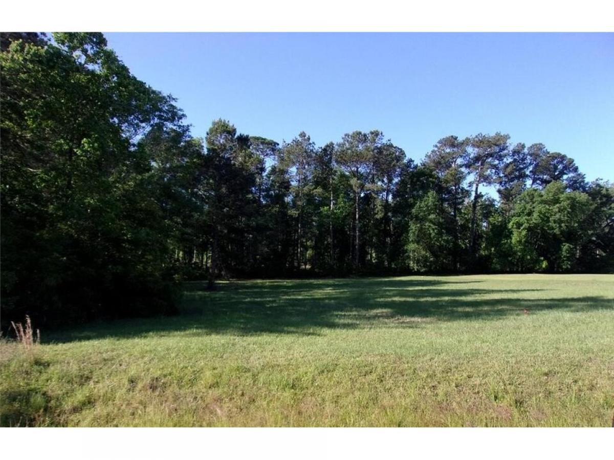 Picture of Residential Land For Sale in Thomasville, Georgia, United States