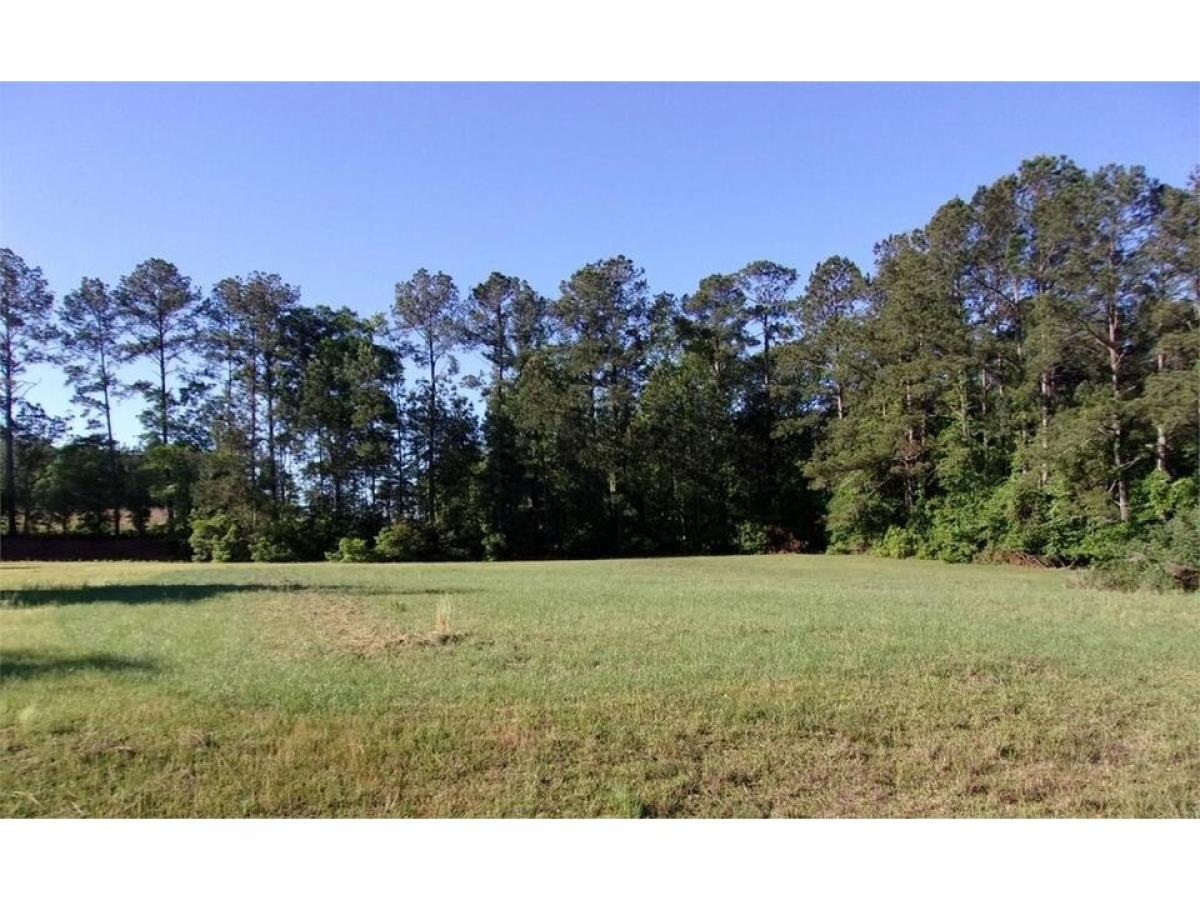 Picture of Residential Land For Sale in Thomasville, Georgia, United States