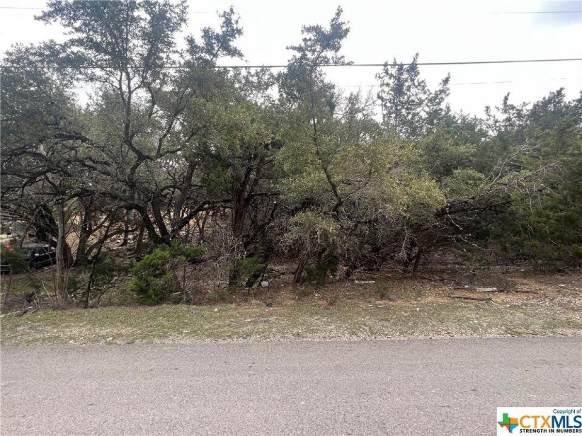 Picture of Residential Land For Sale in Canyon Lake, Texas, United States