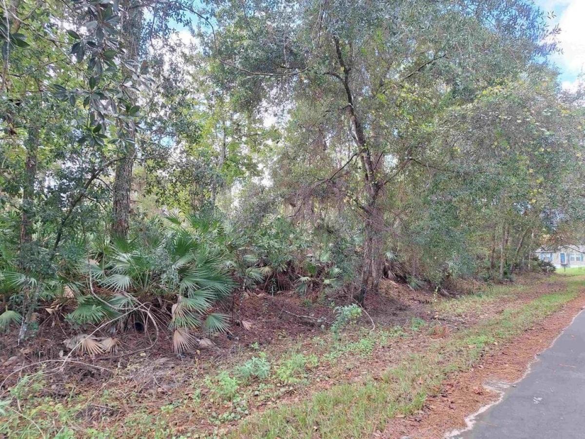 Picture of Residential Land For Sale in Satsuma, Florida, United States