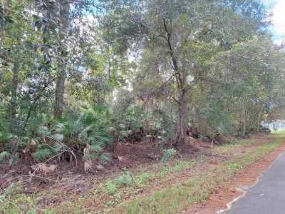 Residential Land For Sale in Satsuma, Florida