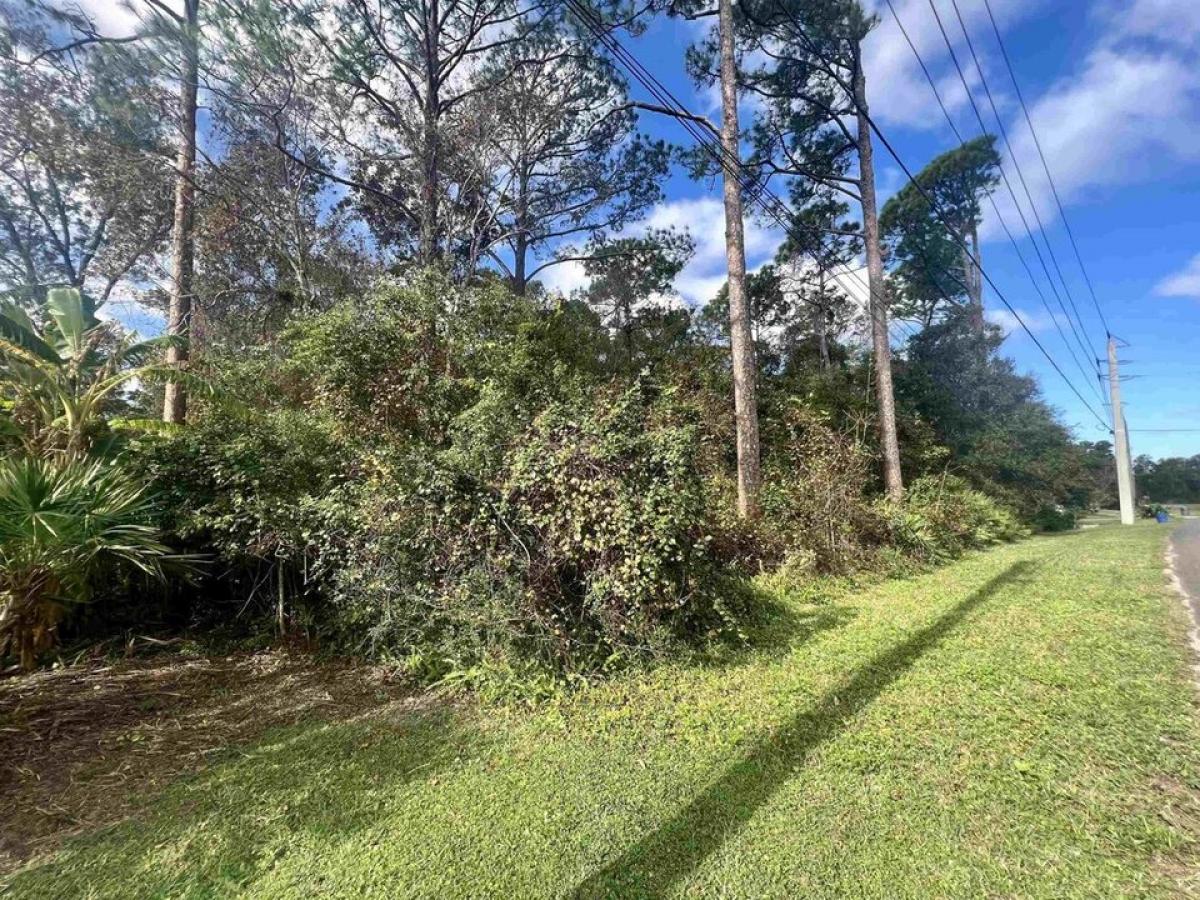 Picture of Residential Land For Sale in Saint Augustine, Florida, United States