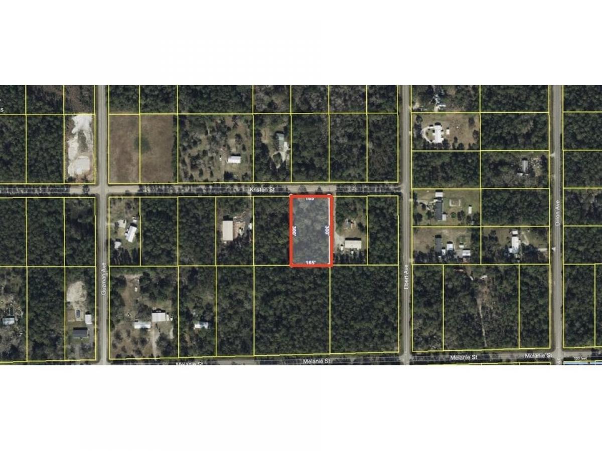 Picture of Residential Land For Sale in Hastings, Florida, United States